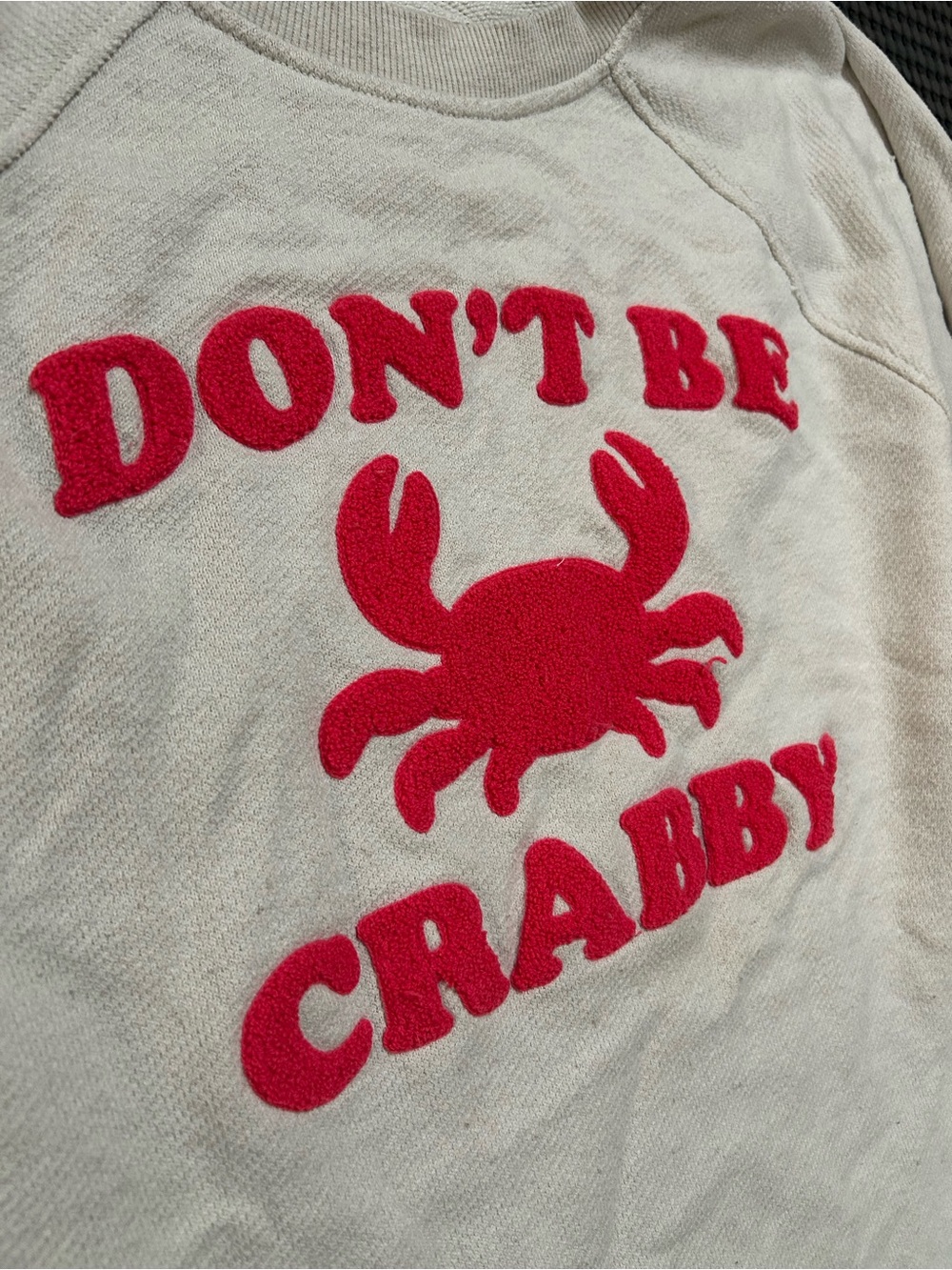 Aerie Oversized Beige Sweatshirt with Red Crab 'Don't Be Crabby' XL